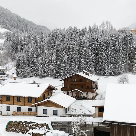 In With Mountain View