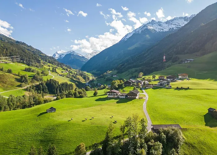 In With Mountain View * Mittersill